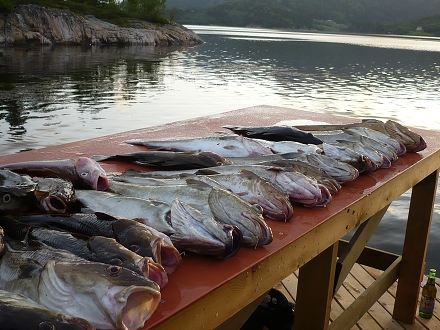 img00008.jpg