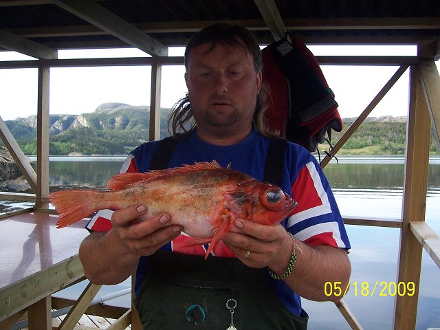 img00040.jpg