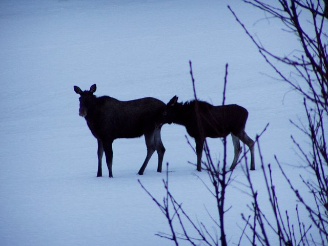 img00048.jpg