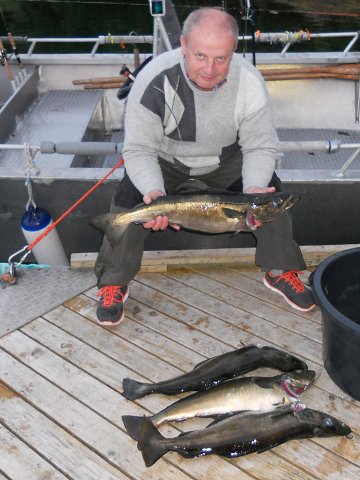 img00015.jpg