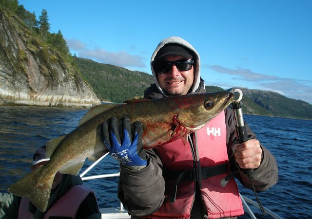 img00037.jpg
