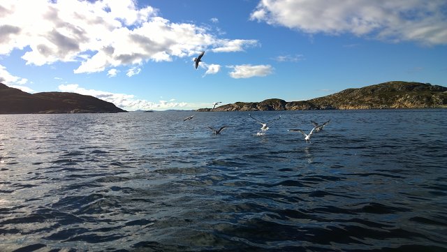 img00038.jpg