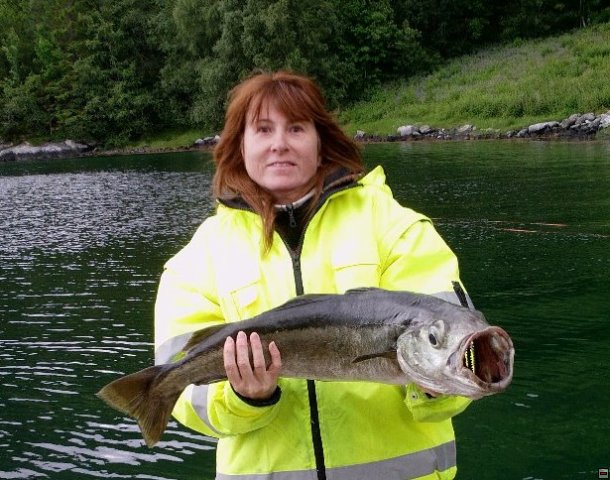 img00010.jpg
