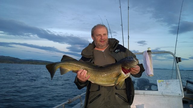 img00026.jpg