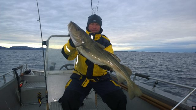 img00020.jpg