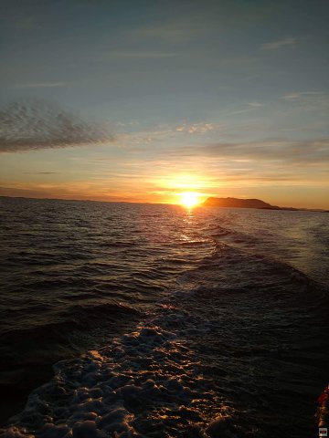 img00040.jpg