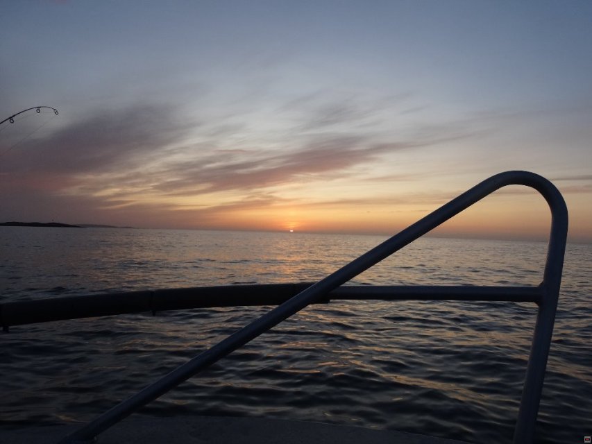 img00007.jpg