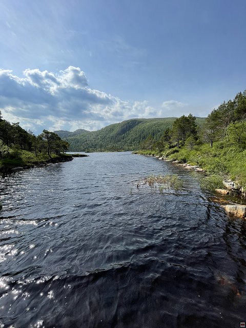 img00026.jpg