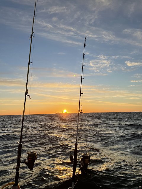 img00030.jpg